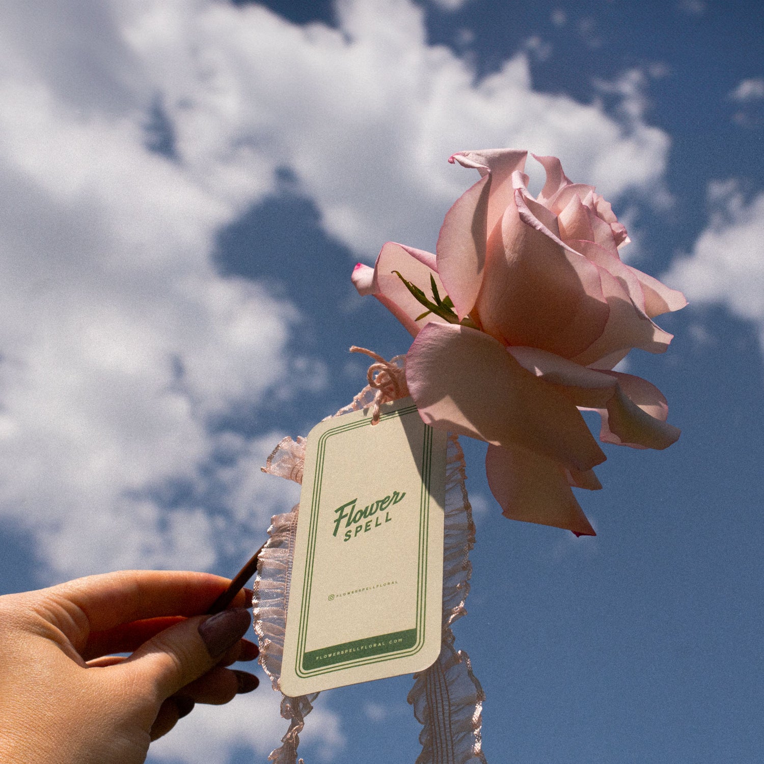 rose in hand flower spell